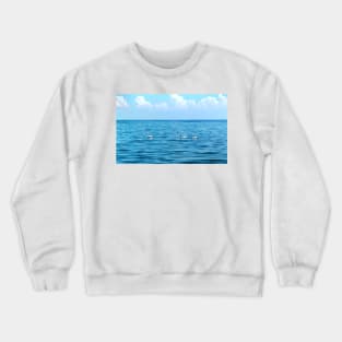 Swans on Lake St. Clair, MI Crewneck Sweatshirt